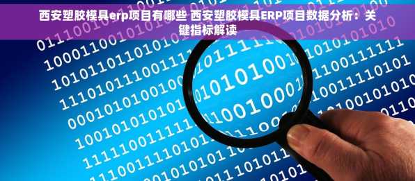 西安塑胶模具erp项目有哪些 西安塑胶模具ERP项目数据分析：关键指标解读