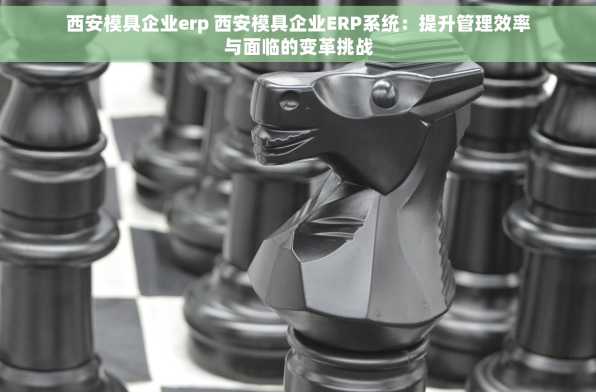 西安模具企业erp 西安模具企业ERP系统：提升管理效率与面临的变革挑战