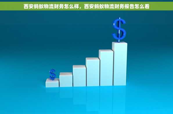 西安蚂蚁物流财务怎么样，西安蚂蚁物流财务报告怎么看