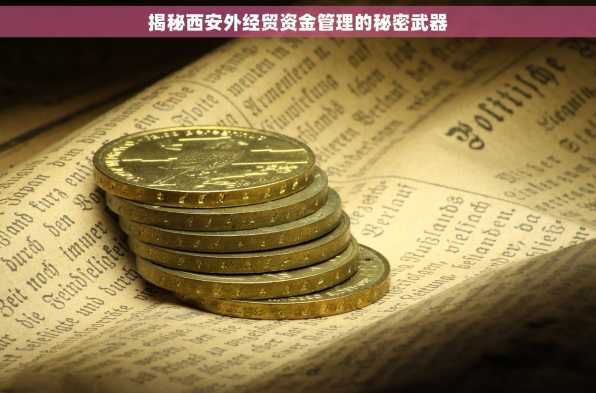 揭秘西安外经贸资金管理的秘密武器