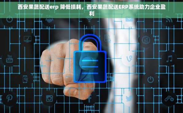 西安果蔬配送erp 降低损耗，西安果蔬配送ERP系统助力企业盈利