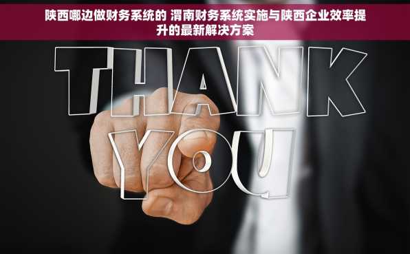 陕西哪边做财务系统的 渭南财务系统实施与陕西企业效率提升的最新解决方案