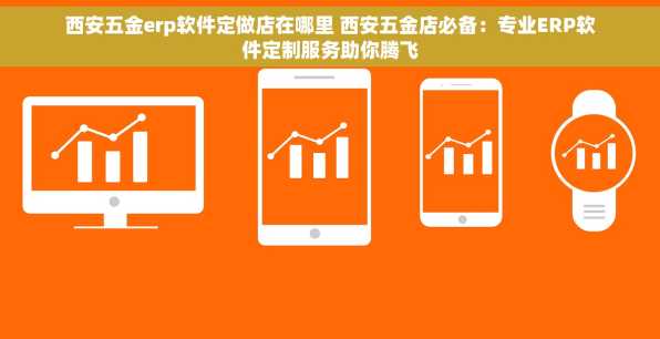 西安五金erp软件定做店在哪里 西安五金店必备：专业ERP软件定制服务助你腾飞