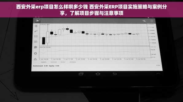 西安外采erp项目怎么样啊多少钱 西安外采ERP项目实施策略与案例分享，了解项目步骤与注意事项