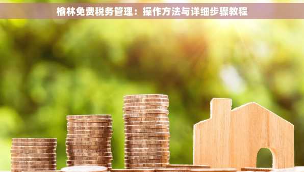 榆林免费税务管理：操作方法与详细步骤教程
