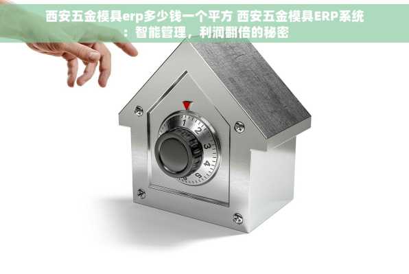西安五金模具erp多少钱一个平方 西安五金模具ERP系统：智能管理，利润翻倍的秘密