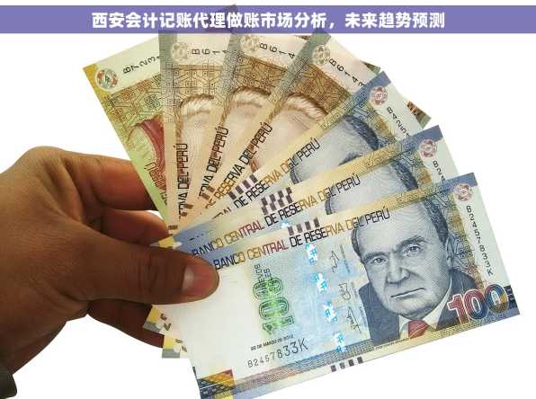 西安会计记账代理做账市场分析，未来趋势预测