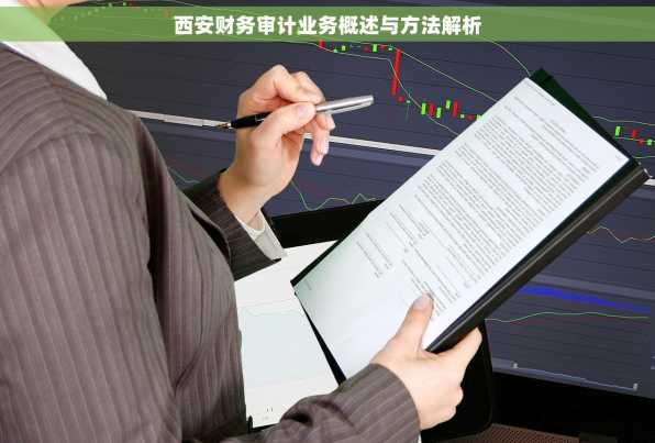 西安财务审计业务概述与方法解析