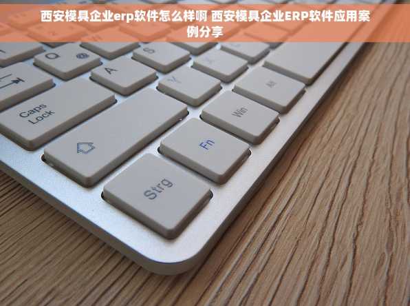西安模具企业erp软件怎么样啊 西安模具企业ERP软件应用案例分享