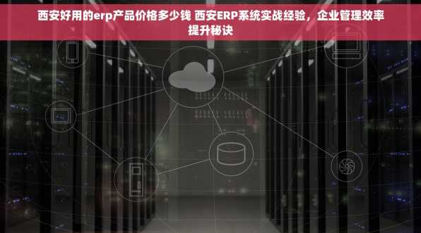 西安好用的erp产品价格多少钱 西安ERP系统实战经验，企业管理效率提升秘诀