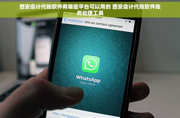 西安会计代账软件有哪些平台可以用的 西安会计代账软件账务处理工具
