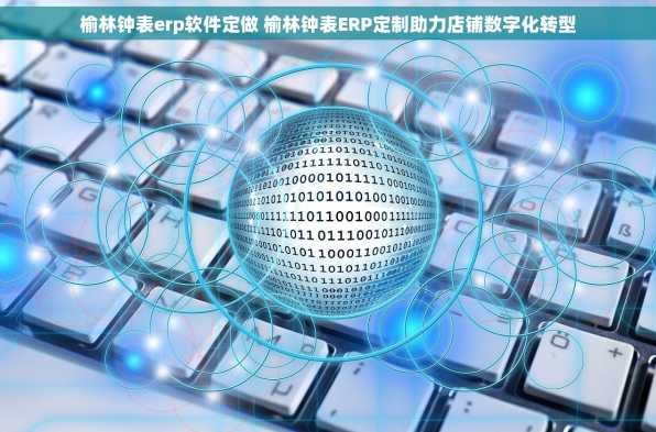榆林钟表erp软件定做 榆林钟表ERP定制助力店铺数字化转型