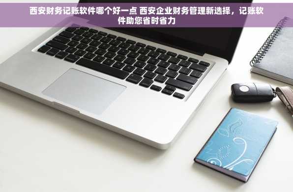 西安财务记账软件哪个好一点 西安企业财务管理新选择，记账软件助您省时省力
