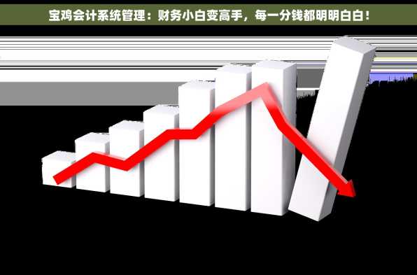 宝鸡会计系统管理：财务小白变高手，每一分钱都明明白白！