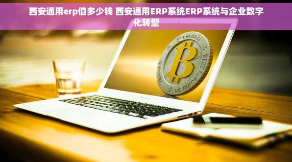 西安通用erp值多少钱 西安通用ERP系统ERP系统与企业数字化转型