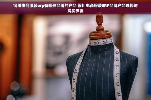 铜川电商服装erp有哪些品牌的产品 铜川电商服装ERP品牌产品选择与购买步骤