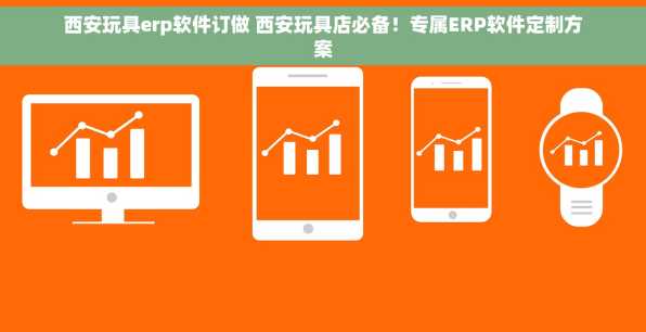 西安玩具erp软件订做 西安玩具店必备！专属ERP软件定制方案