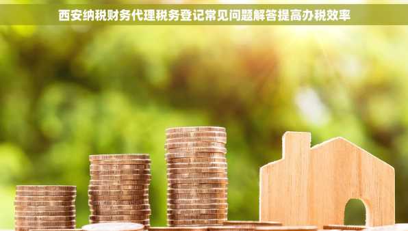西安纳税财务代理税务登记常见问题解答提高办税效率