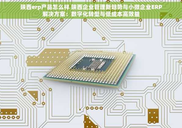 陕西erp产品怎么样 陕西企业管理新趋势与小微企业ERP解决方案：数字化转型与低成本高效益