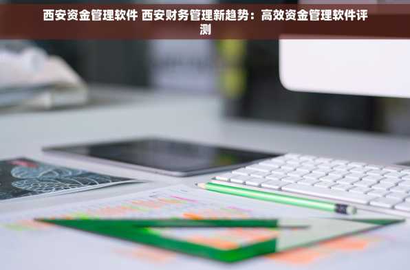 西安资金管理软件 西安财务管理新趋势：高效资金管理软件评测