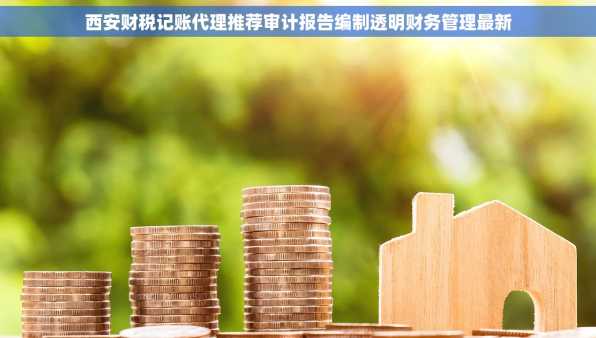 西安财税记账代理推荐审计报告编制透明财务管理最新