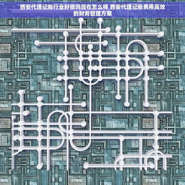 西安代理记账行业好做吗现在怎么样 西安代理记账费用高效的财务管理方案