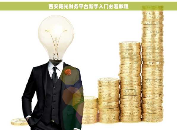 西安阳光财务平台新手入门必看教程