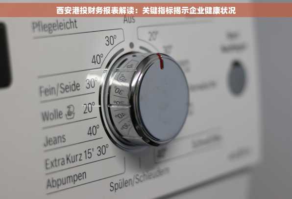 西安港投财务报表解读：关键指标揭示企业健康状况
