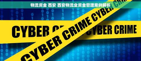 物流资金 西安 西安物流业资金管理案例解析