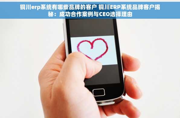 铜川erp系统有哪些品牌的客户 铜川ERP系统品牌客户揭秘：成功合作案例与CEO选择理由
