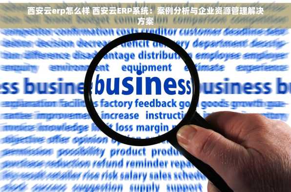 西安云erp怎么样 西安云ERP系统：案例分析与企业资源管理解决方案