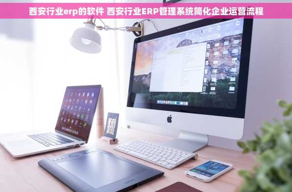 西安行业erp的软件 西安行业ERP管理系统简化企业运营流程
