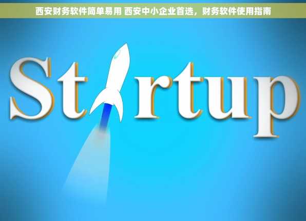 西安财务软件简单易用 西安中小企业首选，财务软件使用指南