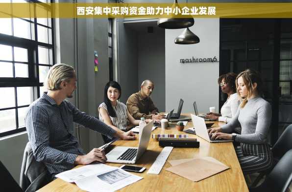 西安集中采购资金助力中小企业发展