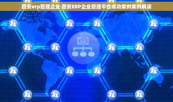西安erp管理企业 西安ERP企业管理平台成功案例案例解读