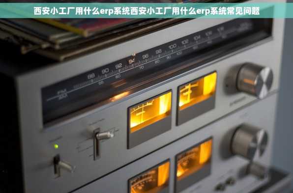 西安小工厂用什么erp系统西安小工厂用什么erp系统常见问题