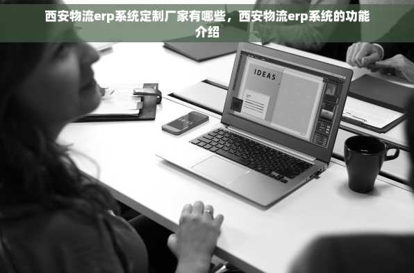 西安物流erp系统定制厂家有哪些，西安物流erp系统的功能介绍
