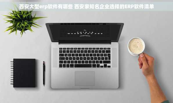 西安大型erp软件有哪些 西安家知名企业选择的ERP软件清单