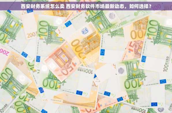 西安财务系统怎么卖 西安财务软件市场最新动态，如何选择？