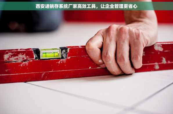 西安进销存系统厂家高效工具，让企业管理更省心