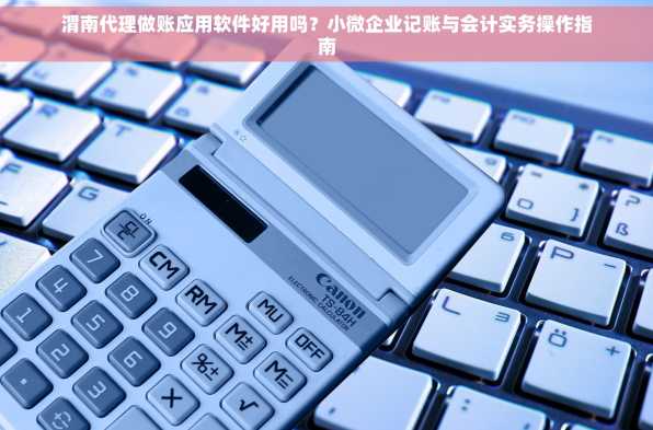 渭南代理做账应用软件好用吗？小微企业记账与会计实务操作指南