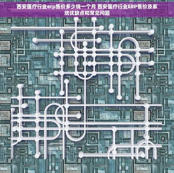 西安医疗行业erp售价多少钱一个月 西安医疗行业ERP售价及系统优缺点和常见问题