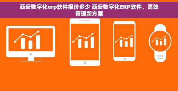 西安数字化erp软件报价多少 西安数字化ERP软件，高效管理新方案