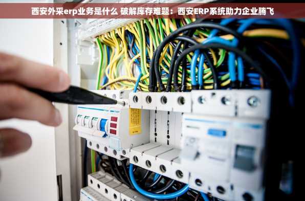 西安外采erp业务是什么 破解库存难题：西安ERP系统助力企业腾飞