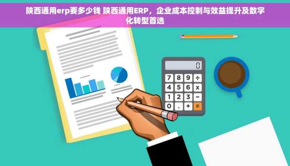 陕西通用erp要多少钱 陕西通用ERP，企业成本控制与效益提升及数字化转型首选