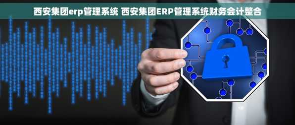 西安集团erp管理系统 西安集团ERP管理系统财务会计整合