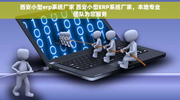 西安小型erp系统厂家 西安小型ERP系统厂家，本地专业团队为您服务