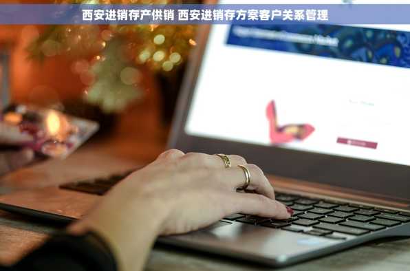 西安进销存产供销 西安进销存方案客户关系管理