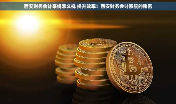 西安财务会计系统怎么样 提升效率！西安财务会计系统的秘密