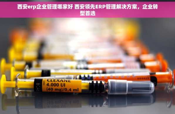 西安erp企业管理哪家好 西安领先ERP管理解决方案，企业转型首选